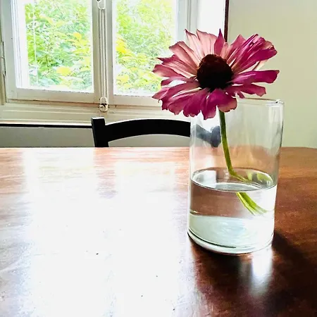 Antica Casa Storica Con Giardino ドモドッソラ