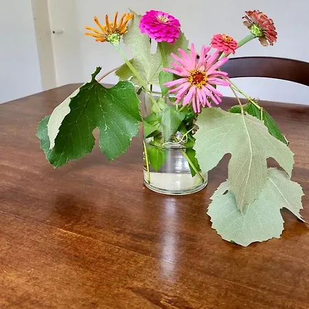 Antica Casa Storica Con Giardino * Domodossola