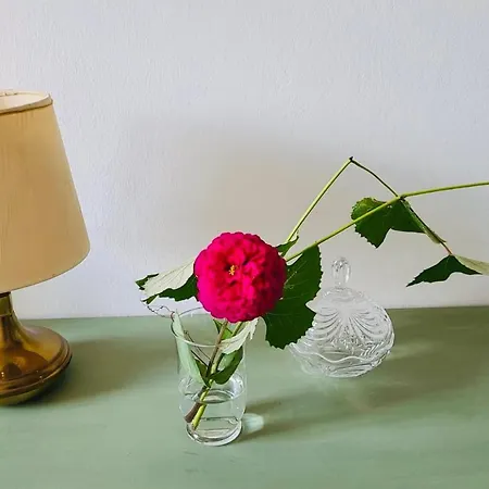 Antica Casa Storica Con Giardino * Domodossola