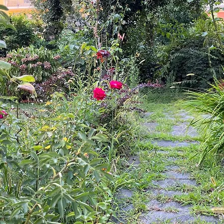 Antica Casa Storica Con Giardino * Domodossola